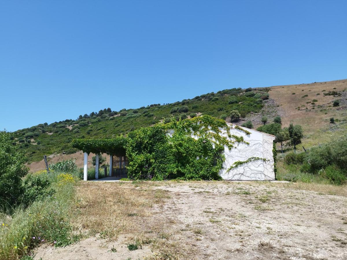 Suite Rooms In Tenuta Asinara Vineyard Sorso Exterior photo