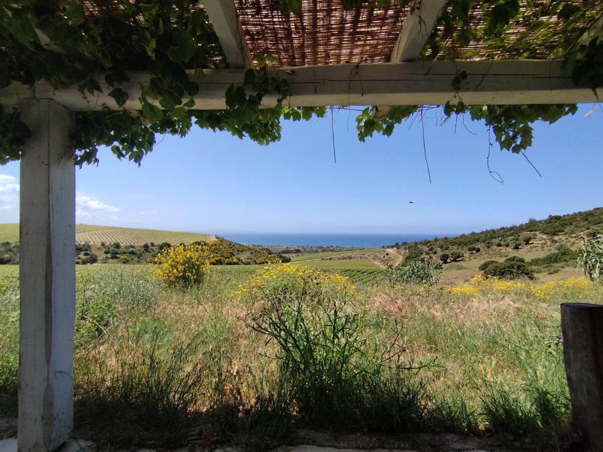 Suite Rooms In Tenuta Asinara Vineyard Sorso Exterior photo